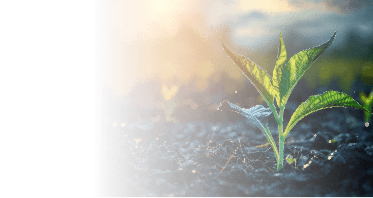 Together for a Greener Tomorrow